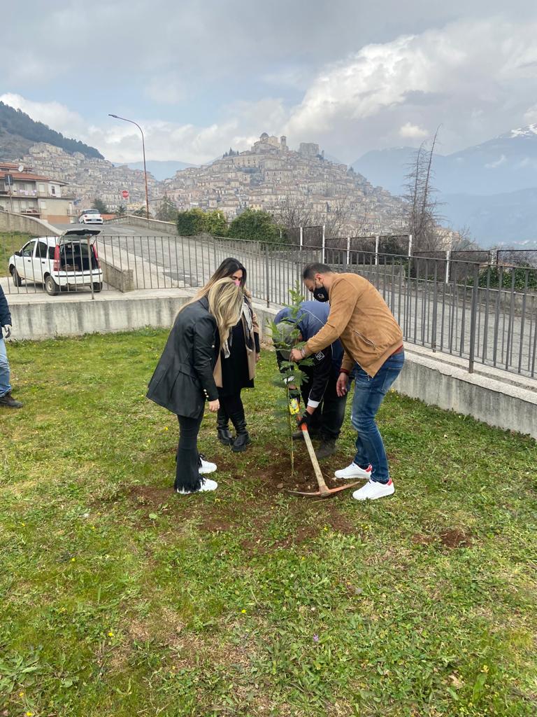 Morano Calabro (Cs) - Una mimosa per omaggiare la donna